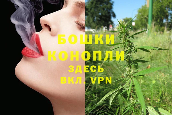 ECSTASY Мегион