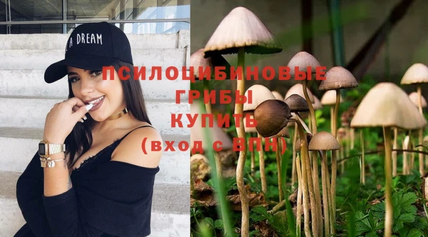 таблы Медвежьегорск