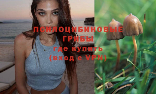 меф Медногорск