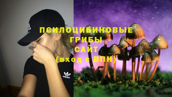 меф Медногорск